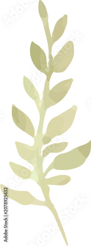 Sage Green Watercolor Olive Branch Illustration