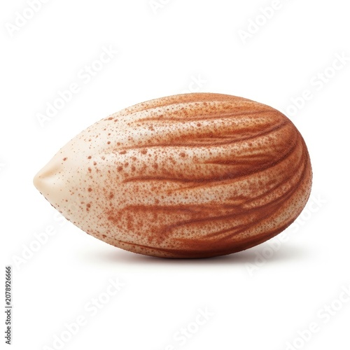 Single Raw Almond Nut Isolated on White Background.