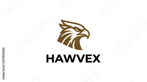 Fotografija Brown Eagle Head Logo Design.