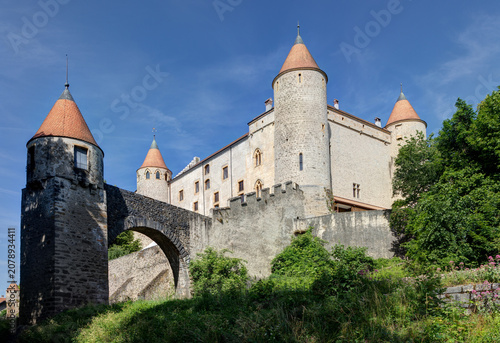 Château de Grandson - Grandson - Suisse