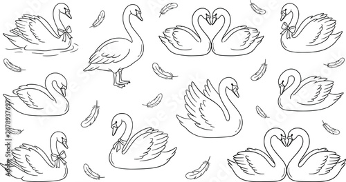 Obraz na płótnie Set of cute swans and feathers isolated on white background