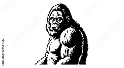 Fotografie Strong gorilla primate portrait in high contrast black and white