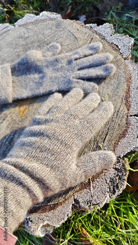 Hand in a knitted wool glove on a frosted wooden stump. Vertical photo of warm handmade winter clothing outdoors in the cold