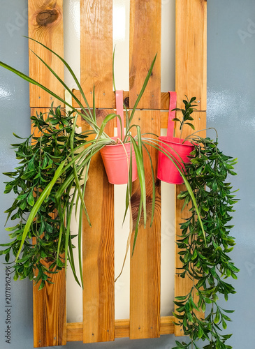 potted flowers hang on a wooden stand on the wall