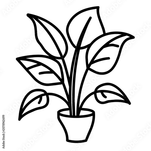 Photography air purifying house plant for health breathing concept