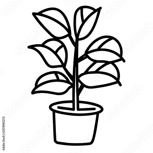 Photography air purifying house plant for health breathing concept