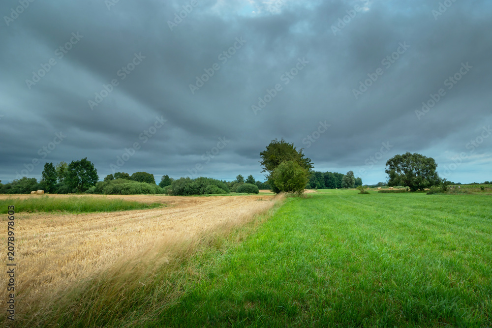 Fototapeta premium Rural landscape with fields on a cloudy day