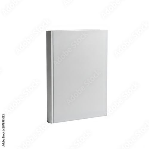 Minimalist gray modern cabinet door