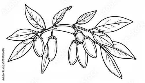 Detailed goji berry clusters on branch line art illustration.