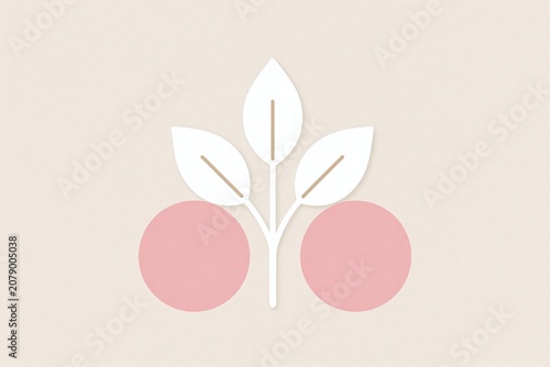 A plant with white leaves on a gray background