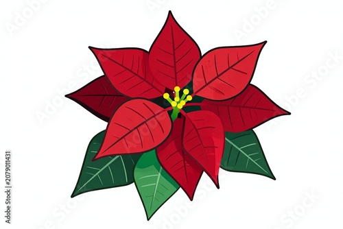A red poinsettia flower with green leaves on a white background