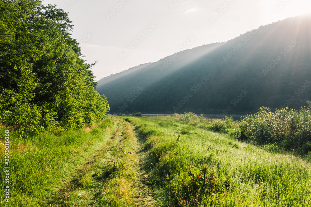Fototapeta premium Sunlight filters through lush green trees, illuminating a winding path by the river at dawn in a gorgeous valley. Photo wallpapers.