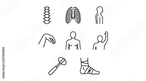 Photos Human body, anatomy, icons, medical illustrations, skeletal and muscular system