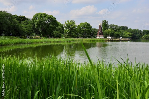草むらと湖の向こうに見える風車小屋　東京浮間公園