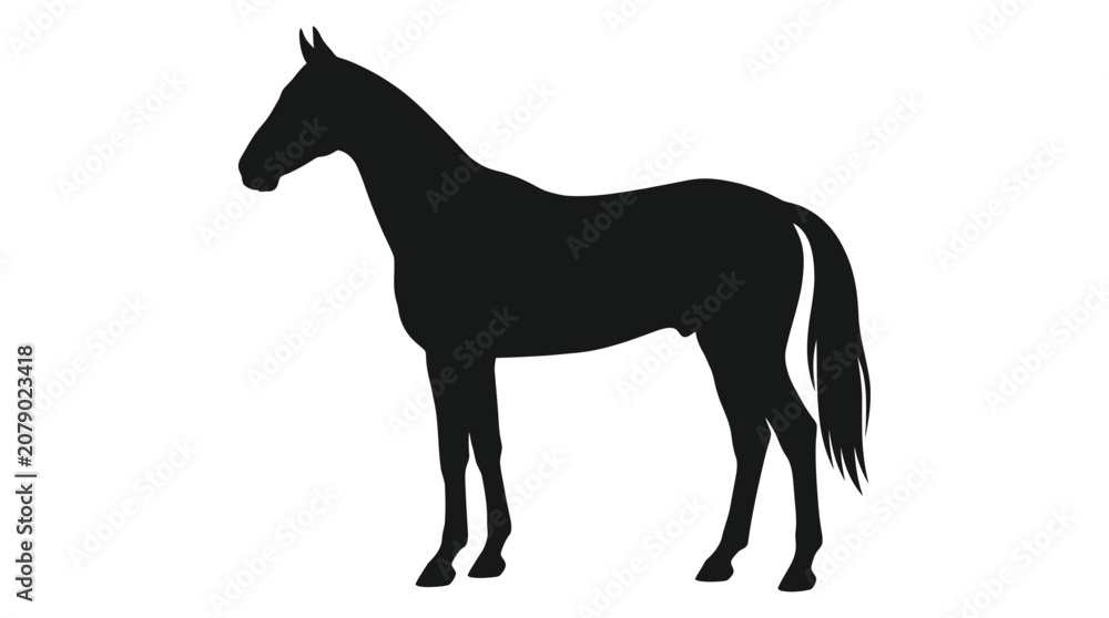 Obraz premium Black Horse Silhouette. Elegant Stallion, Isolated on White Background.