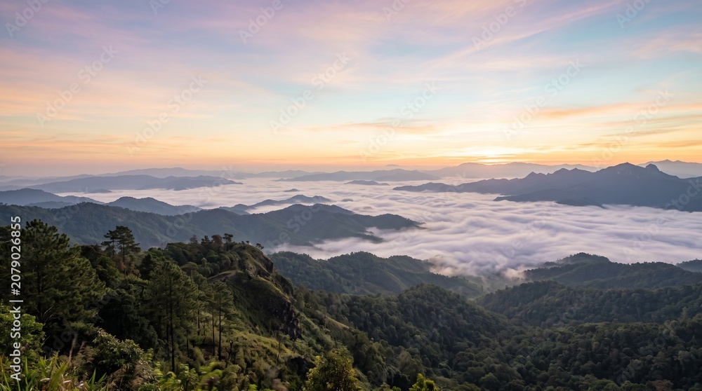 Fototapeta premium Sunrise Over Misty Mountain Forest Landscape.