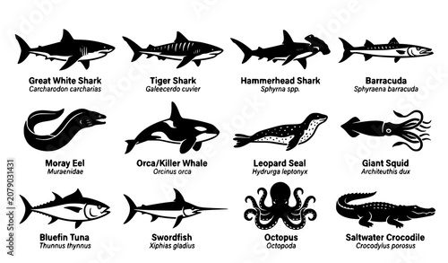 Tableau sur toile Apex Marine Predators and Ocean Wildlife Icon Set with Great White Shark, Orca,
