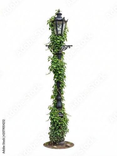 Decorative Street Light with Green Vine Isolated on White