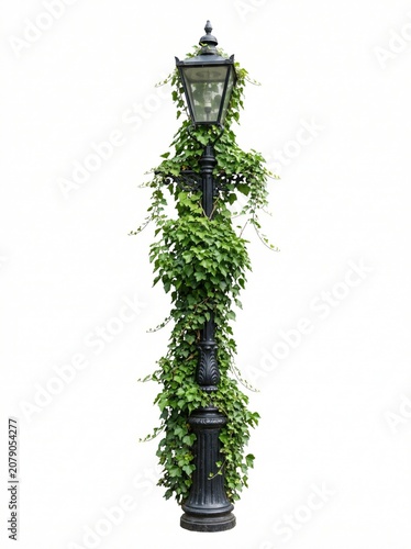 Street lamp post with green ivy wrapping around isolated on white