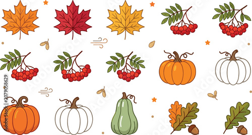 Fotografía Autumn maple leaves and pumpkins vector set with rowan berries oak leaves acorns