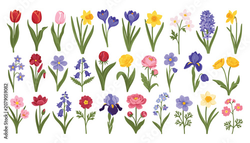 Photos Colorful Spring Garden Flowers Flat Vector Collection with Tulips Daffodils Iris
