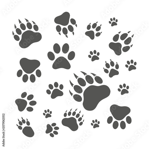 Collection of various animal paw prints in different sizes on white background