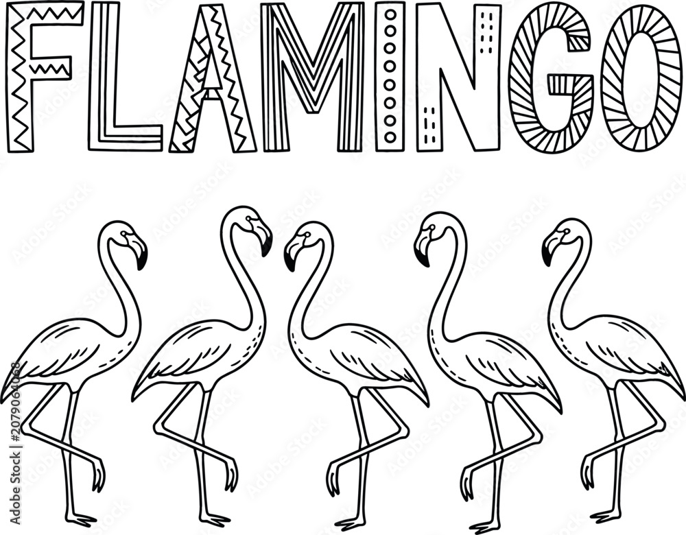 Obraz premium Flamingo Bird Coloring Page Black And White Line Art Vector Illustration With Lettering Design On White Background