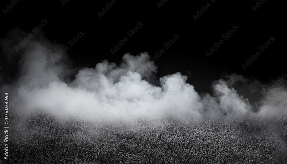 Fototapeta premium nature fog on black background
