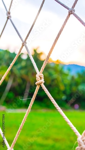 Close-up of a net with blurred greenery background.