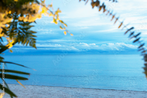 Romantic sunset. Tranquil coastal scene featuring calm ocean under cloudy sky, framed by lush tropical foliage. Sandy beach is visible in foreground, creating peaceful atmosphere