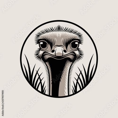 Ostrich Head Closeup Black White Illustration.