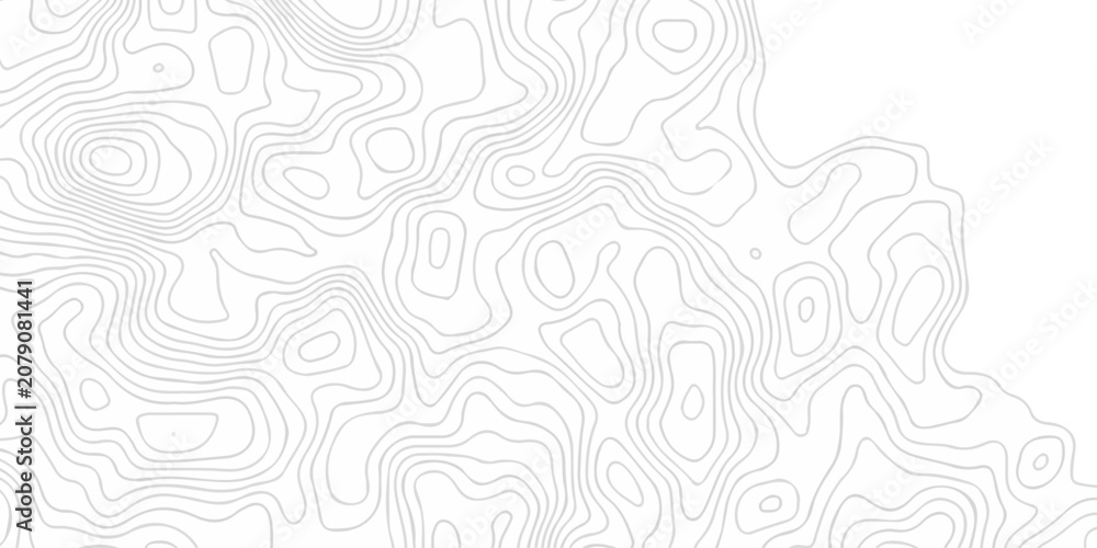 Fototapeta premium abstract white grid topography map hiking spiral texture. vector geographic contour mounted map wireframe background.
