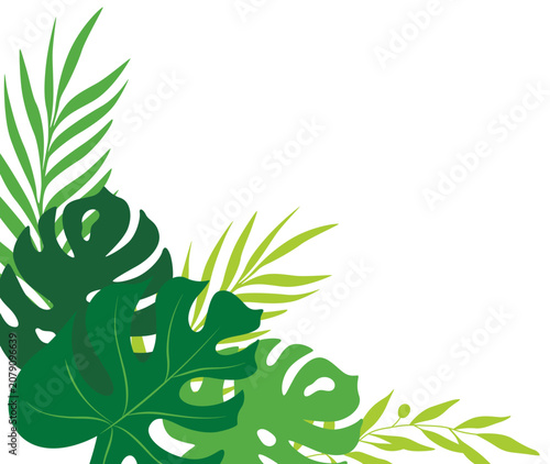Summer Tropical Leaf Corner Border Decoration for Botanical Frame, Beach Party, and Vacation Theme Illustration. Vector Isolated