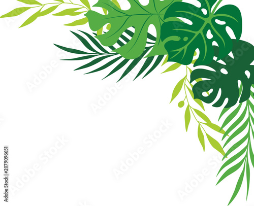 Summer Tropical Leaf Corner Border Decoration for Botanical Frame, Beach Party, and Vacation Theme Illustration. Vector Isolated
