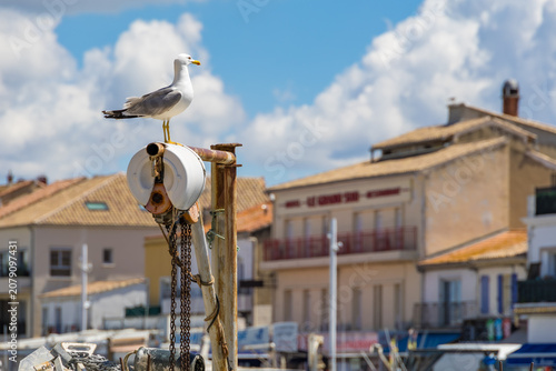 Foto A lone seagull sits on a rusty mooring post overlooking a vibrant coastal town and harbor