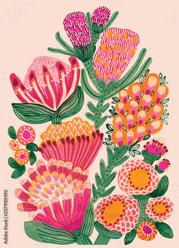Hand Painted Protea Floral Botanical Illustration with Australian Native Flowers