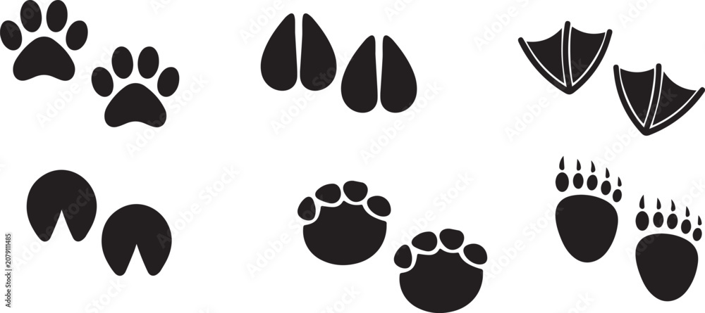 Obraz premium Animals footprint tracks. Paw prints, feet and claws eagle, raccoon and fox, deer and frog, duck and elephant penguin and chicken horse, hedgehog bear sheep cat dog stamp. Black foot trace vector set