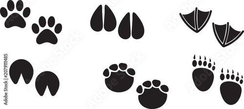 Tableau sur toile Animals footprint tracks