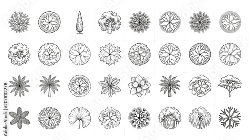 Architectural Landscape Tree Symbols Top View Vector Collection for Global Planting Plans