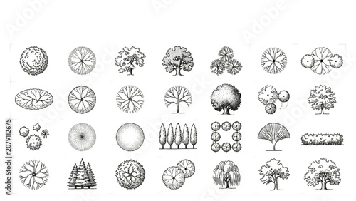 Hand Drawn Architectural Tree Symbols Plan View Vector Set for Urban Development