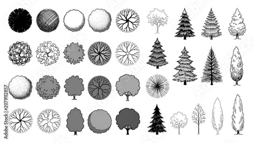 Hand Drawn Architectural Tree Symbols Vector Collection for Landscape Design Plans