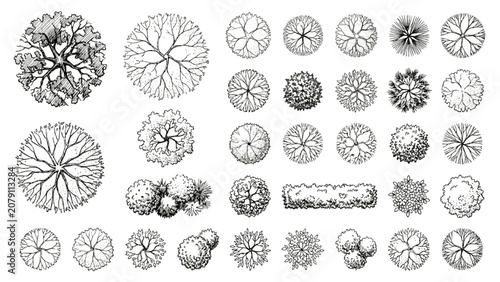 Hand Drawn Eco Park Tree Symbols Vector Collection for Landscape Architecture Plans