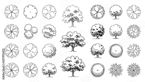Hand Drawn Tree Symbols and Botanical Elements Vector Set for Landscape Architecture