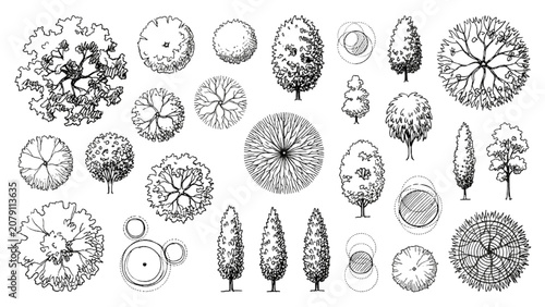 Hand Drawn Tree Symbols and Planting Elements Vector Set for Landscape Architecture Plans