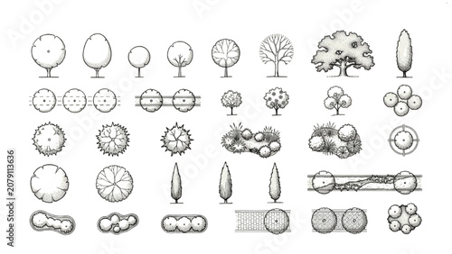 Hand Drawn Urban Tree Symbols and Planting Elements Vector Set for Green Infrastructure