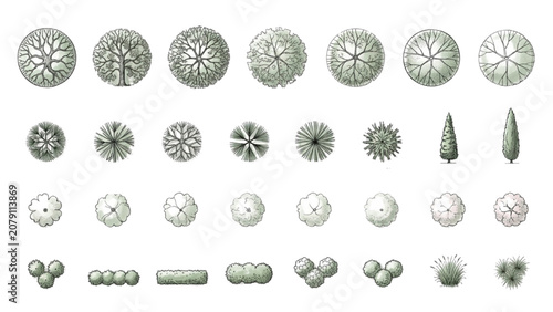 Hand Drawn Landscape Tree and Shrub Symbols Vector Collection for Architectural Plans
