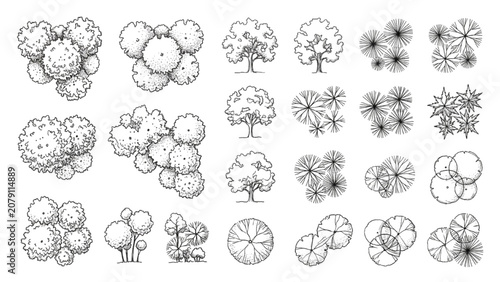 Hand Drawn Landscape Tree and Palm Symbols Vector Collection for Site Plan Design