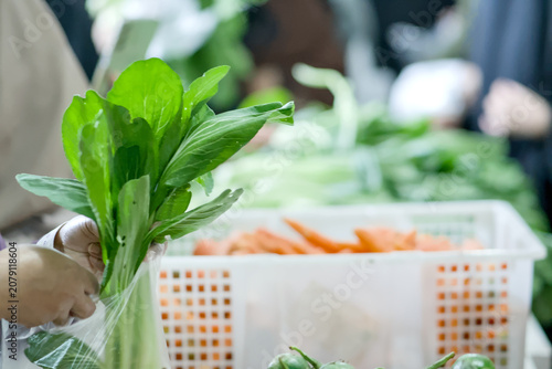 Photos Closeup of a persons hands holding a bunch of fresh green bok choy at a market,