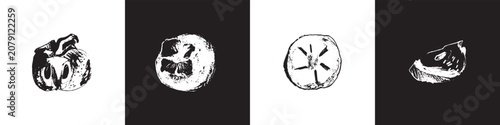 Hand drawn persimmon vector icons set. Black and white botanical illustration with textured engraving or linocut style. Isolated fruit element for packaging, labels, branding and food design