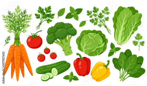 Fresh Vegetable Clipart Set | Colorful Healthy Vegetables and Herbs Vector Collection